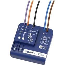 Somfy - io (Izymo) 1822649 Accessoire pour système d'alarme sans fil Récepteur sans fil