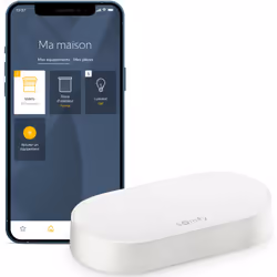 Somfy - 1870755 - Kit de connectivité - Pilotez les moteurs et l'éclairage par smartphone - Compatible moteurs io & rts - Contrôle à la voix via