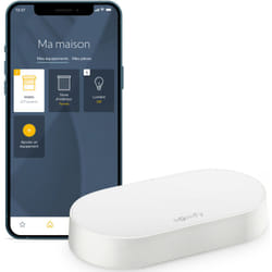 Somfy - 1870755 - Kit de connectivité - Pilotez les moteurs et l'éclairage par smartphone - Compatible moteurs io & rts - Contrôle à la voix via