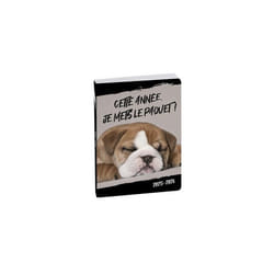 Agenda - 2025/2026 - Scolaire - Chiot dormeur - 1page par jour - Septembre à septembre - Forum Funny