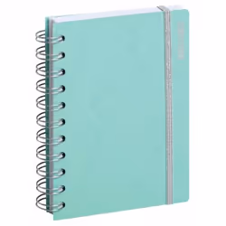 Agenda scolaire - EXACOMPTA - 2022/2023 - Vert pastel - 10 x 15 cm - Reliure à spirale