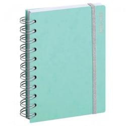 Agenda scolaire - EXACOMPTA - 2022/2023 - Vert pastel - 10 x 15 cm - Reliure à spirale