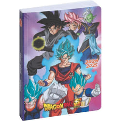 Agenda scolaire - 2024/2025 - 1 page par jour - Dragon Ball - 12x17cm - Rose