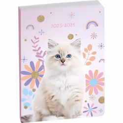 Agenda scolaire EXACOMPTA Forum Animaux Chat Blanc 2025-2026