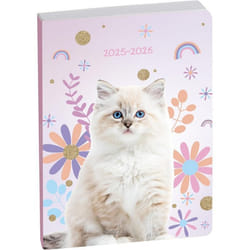 Agenda scolaire EXACOMPTA Forum Animaux Chat Blanc 2025-2026