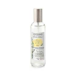 Parfum dintérieur - Esteban - Jasmin dété - 100 ml - Mixte - Parfum dintérieur