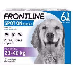 Frontline Spot-On Chien L (20-40 kg) 6 Pipettes