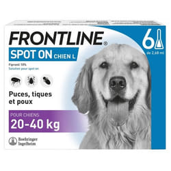 Frontline Spot-On Chien L (20-40 kg) 6 Pipettes