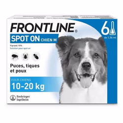 Antiparasite pour chien Frontline de10/20 kg Spot On (x6)