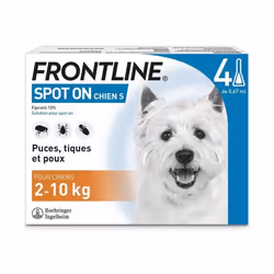 Frontline Spot On chien - Anti-puces anti-tiques pour chien S - 2-10kg - 4 pipettes