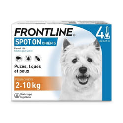 Frontline Spot On chien - Anti-puces anti-tiques pour chien S - 2-10kg - 4 pipettes
