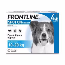 Antiparasite pour chien Frontline de 10/20 kg Spot On (x4)