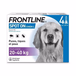 Antiparasite pour chien Frontline de 20/40 kg Spot On (x4)