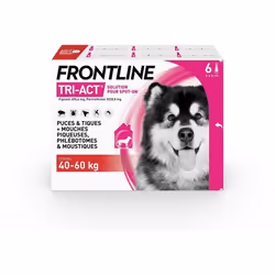 Frontline Tri-Act chien - Anti-puces anti-tiques pour chien XL - 40-60kg - 6 pipettes