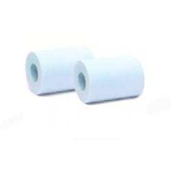 Lot de 2 brosses mousse pour robot électrique Nauty (TC) - Dolphin