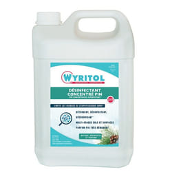 Wyritol PV56175202 nettoyant tous support 5000 ml Liquide (prêt à l'emploi)
