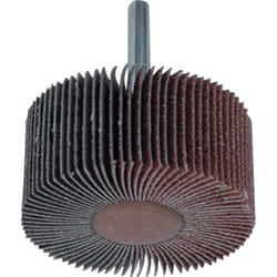 Roue à lamelles corindon pour bois et métal - D. 50 x L. 15 mm Gr. 120 - LEMAN - 9951512