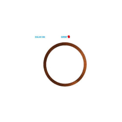 Bague anti-blocage couronne Expert