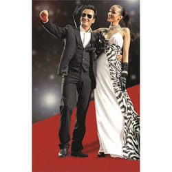 TAPIS ROUGE 1 X 15 M Rouge