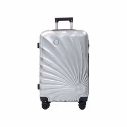 Daniel Hechter - Valise taille cabine 41x60x25cm silver en polycarbonate