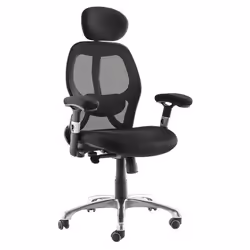 Fauteuil de bureau ergonomique ULTIMATE V2 plus