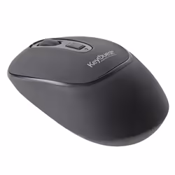 KeyOuest HYBRIDE souris Ambidextre RF sans fil 1200 DPI