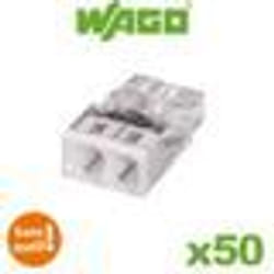 Flacon de 50 mini bornes de connexion automatique 2 entrées S2273