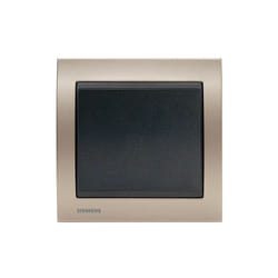 Poussoir Anthracite Delta Iris + Plaque Métal Champagne Siemens