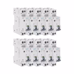 Description générale Lot de 10 disjoncteurs électriques phase + neutre 10A, conçus pour stopper le courant lors des courts-ci ...