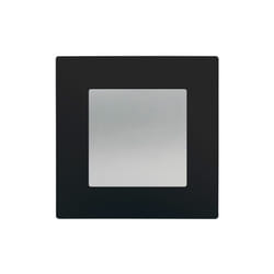 Poussoir Silver Delta Viva + Plaque Noir Siemens