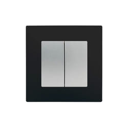 Siemens - Double Va et Vient Silver Delta Viva + Plaque Noir