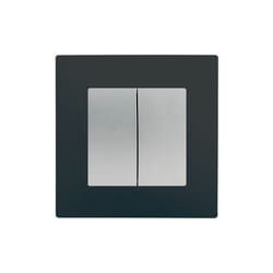 Double Va et Vient Silver Delta Viva + Plaque Anthracite - SIEMENS