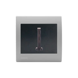 Siemens - Prise Téléphone Gris Anthracite Delta Iris + Plaque basic Silver