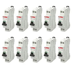 Lot de 10 disjoncteurs Ph+N raccordement Vis 10A-45Ka - Courbe  C