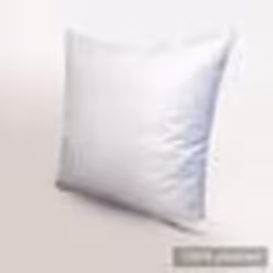 Oreiller 80x80 cm GRIZZLIT PLUMES 100% Plumes de Canard