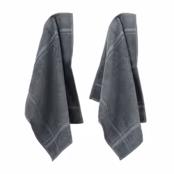 Lot de 2 torchons de cuisine 50x50 cm éponge PURE KITCHEN TERRY Gris