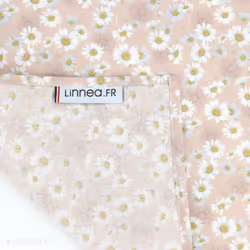 Linnea Aster