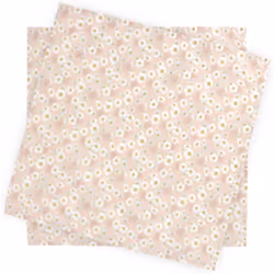Linnea Aster, Rose, Coton, Aster, 450 mm, 450 mm, 2 pièce(s)