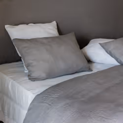 Linnea Sonate Beige 65 x 65 cm Lin