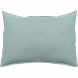 Taie d'oreiller 50x70 cm collection OPERA vert lichen Découvrez la collection OPERA pour une touche d'élégance dans votre cha ...