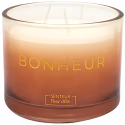 Bougie parfumée 3 mèches en coton AMOUR ET PASSION à la cire de parafine senteur fleur d'été orange Plongez dans l'univers en ...