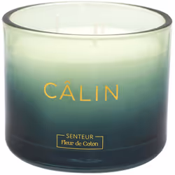 Bougie parfumée 3 mèches en coton AMOUR ET PASSION à la cire de parafine senteur fleur de coton vert Plongez dans l'univers e ...