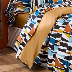 Drap plat 280x310 cm pur coton PIETRO multicolore Plongez dans un univers graphique et moderne avec la collection Pietro. Ce ...