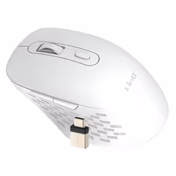 Souris Sans Fil - LinQ - WiFi et Bluetooth - Chargement Type-C - Ergonomique - 1600 DPI