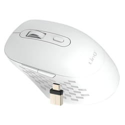 Souris Sans Fil - LinQ - WiFi et Bluetooth - Chargement Type-C - Ergonomique - 1600 DPI