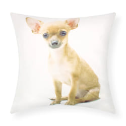 AVIZAR Housses de coussin 40x40 cm Chihuahua