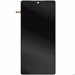 Écran LCD et Vitre Tactile pour Samsung Galaxy S25 Ultra Original Samsung Noir