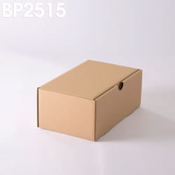 Enveloppebulle - Lot de 100 Boîtes postales brunes 250x150x100 mm