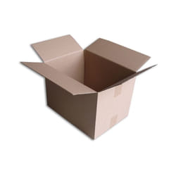 Lot de 100 Boîtes carton (N°46A) format 350x260x250 mm