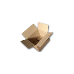 Enveloppebulle - Lot de 10 Boîtes carton (N°51) format 400x250x270 mm